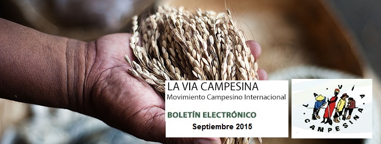 La Vía Campesina – Boletín Electrónico Septiembre 2015